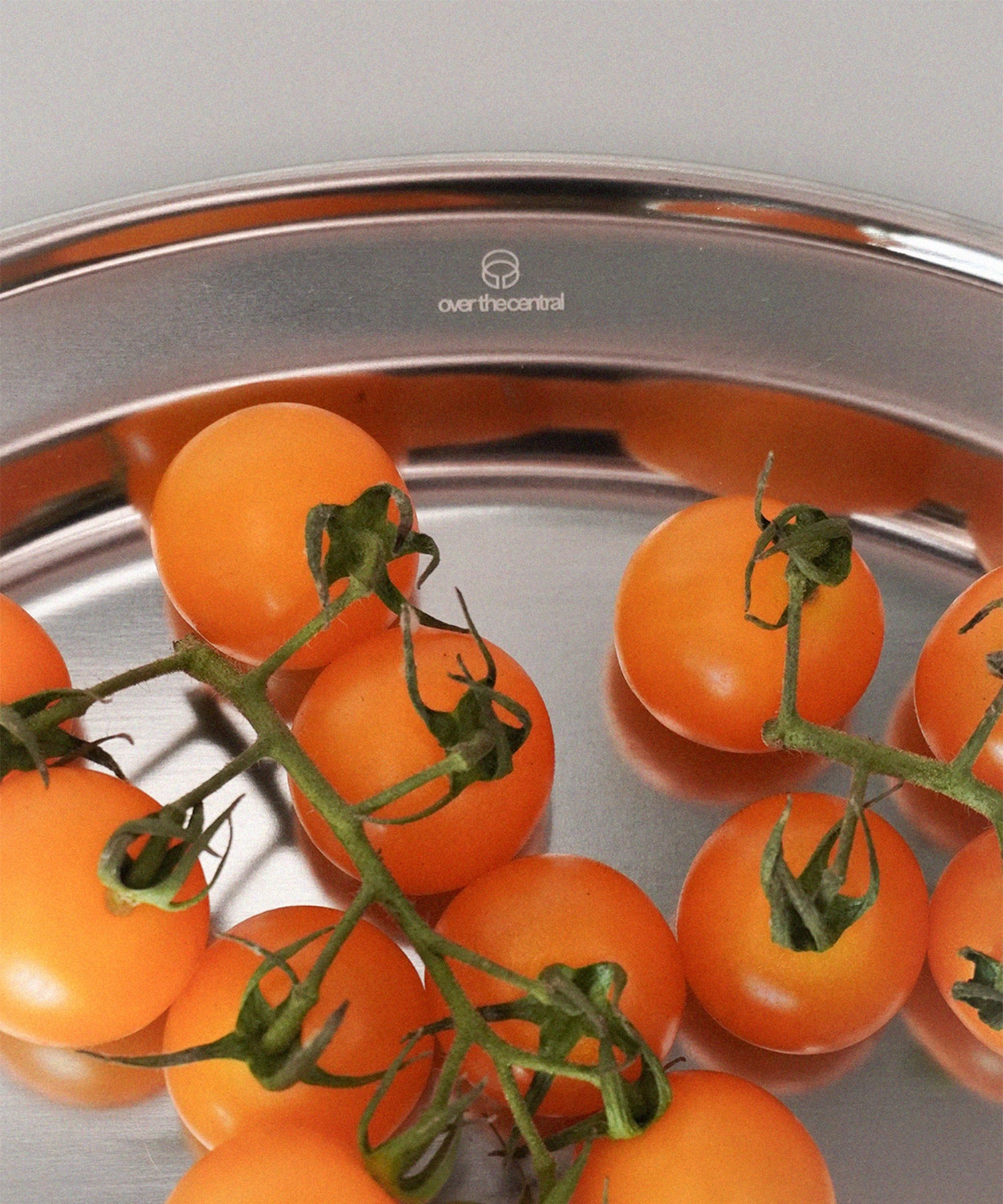 Logo Engraved Stainless Steel Oval Plate 10inch